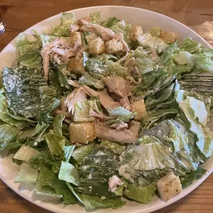 Grilled Chicken Caesar Salad