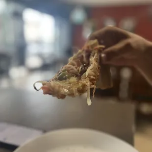 a person holding a piece of pizza