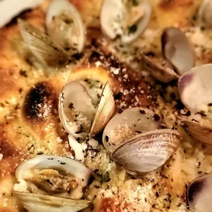 NC Clam White Pizza