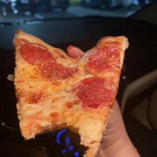 Pepperoni and supposedly extra cheese according to them