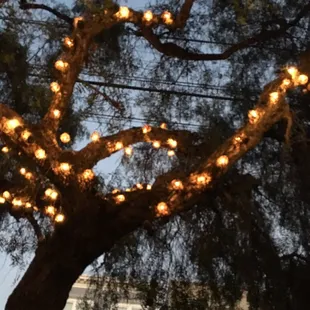 Outside pizzetta 211