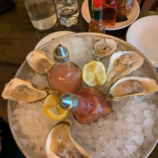 oysters