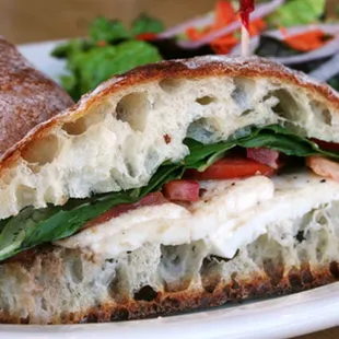 The Fresh Mozzarella Panini
