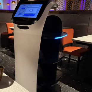 Robot cat bringing food items