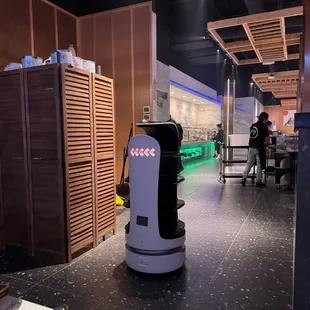 Robot delivery