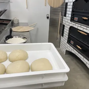 Fermenting the dough!