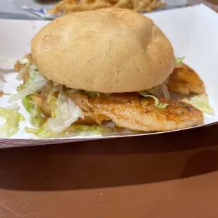 Grilled spicy fist sandwich. Fish cooked perfectly. Soft bun and just the right spice! Very yummy.