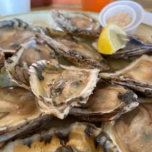 a plate of oysters