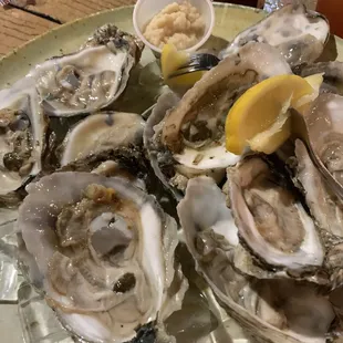 Oysters on the Half Shell