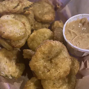 fried onion rings and dipping sauce