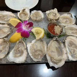Blue point oysters from the gulf.