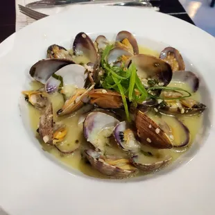 Steamed Clams