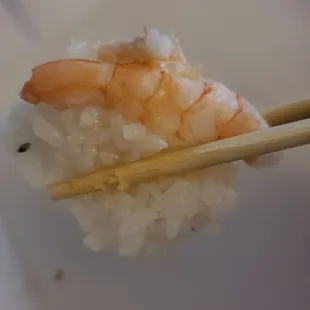 Plain Creamy shrimp