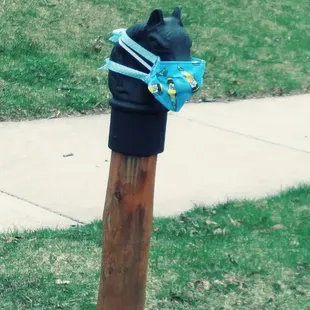 Just down the street. I found it amusing