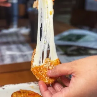 fried mozz