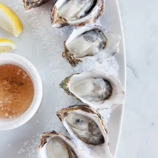 shellfish, oysters, food, mussels, oysters and mussels