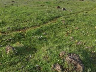 Griffith Quarry Museum