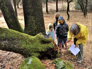 Placer Nature Center