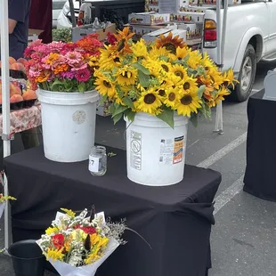 a variety of flowers