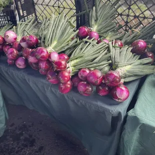 onions on a table