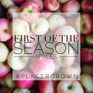 Apples at the market