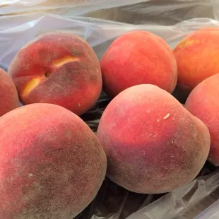 Twin Peaks peaches are delicious! The guy who sells the peaches is super nice and knowledgeable too!