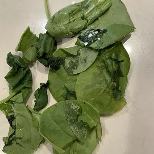 Old spinach used in salad