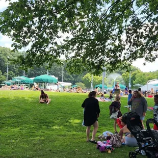 Shaded tree area and view of the pool