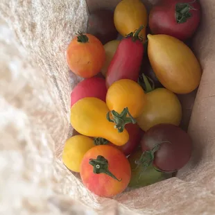 Heirloom tomatoes grown from seed-amazing! I think she said she has a selection of 15 or 16 kinds. Fantastic.
