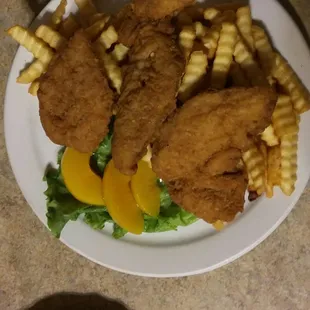 Chicken strips, fries, peaches, delicious salad!!