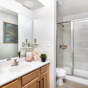 Newly renovated bathroom with upgraded lighting, walk in shower, and expansive vanity.