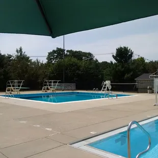 Swimming, diving, sunning