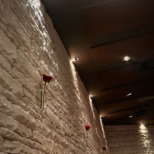 red roses on the wall