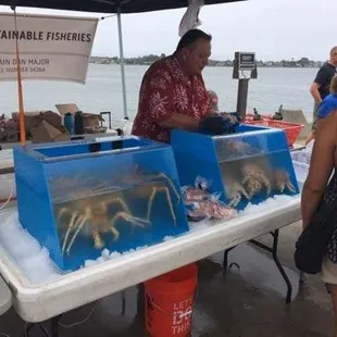 They pull the seafood off the boat and put it in the live tanks! best place to buy seafood in san diego.