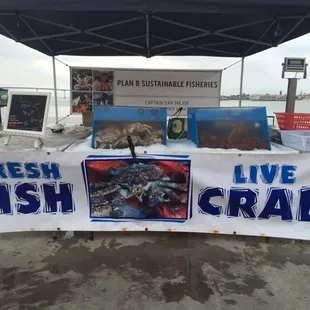 Live crab and lobster on the pier! And tons of different kinfs of fish too.