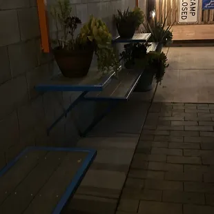 Benches along side and beautiful live plants