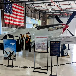 Cruise's Mustang from Top Gun Maverick.