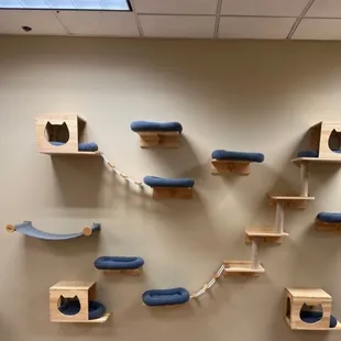Cat Lounge Wall