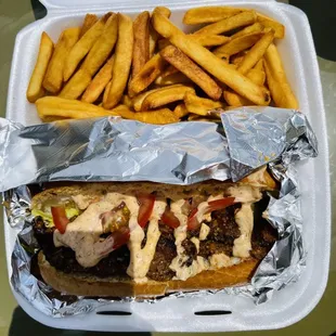 a sandwich and french fries in a styrofoam container