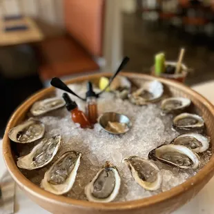 Iced Oysters*