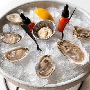 Oyster- fresh