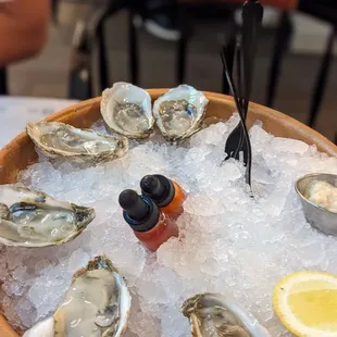 Oysters