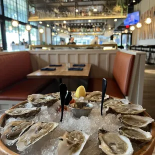 Oysters