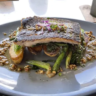 Redfish