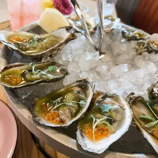 Dressed Oysters
