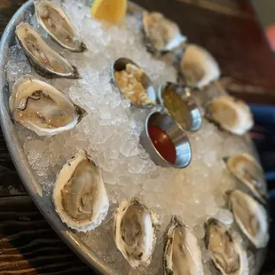 Oysters on the Half Shell  @dangit.all