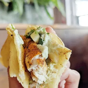 Blackened Mahi-Mahi Tacos
