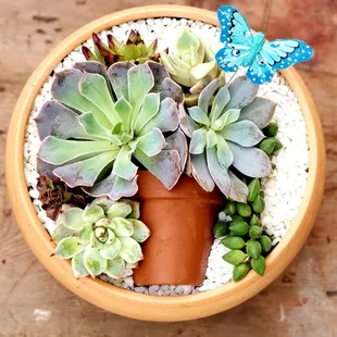 Clay Marquee!  We have a wide variety of containers for you to choose!