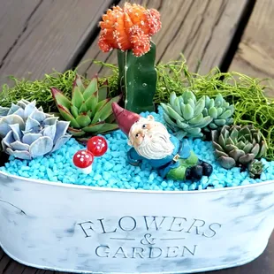 Fairy Gardens!
