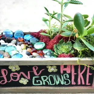 Wooden Chalkboard Container